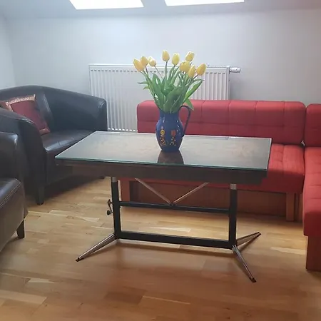 公寓 Penthouse Vogla By The Royal Wilanow Palace *